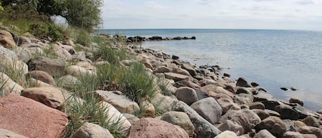 Plage, chaises longues