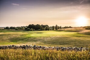Een golfbaan met een stenen muur op de voorgrond en bomen in de verte.
