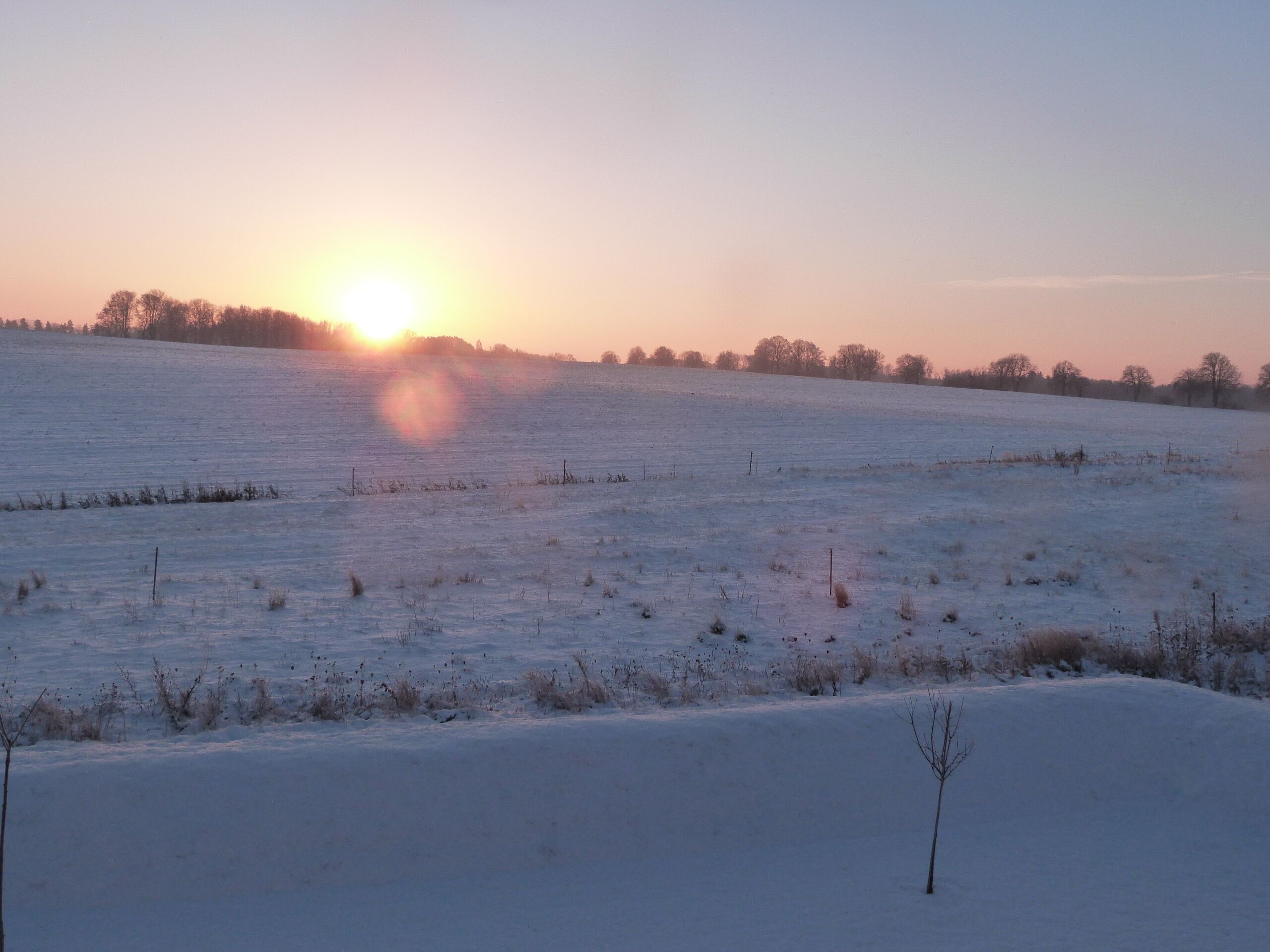 A snowy field with a sunset in the background.