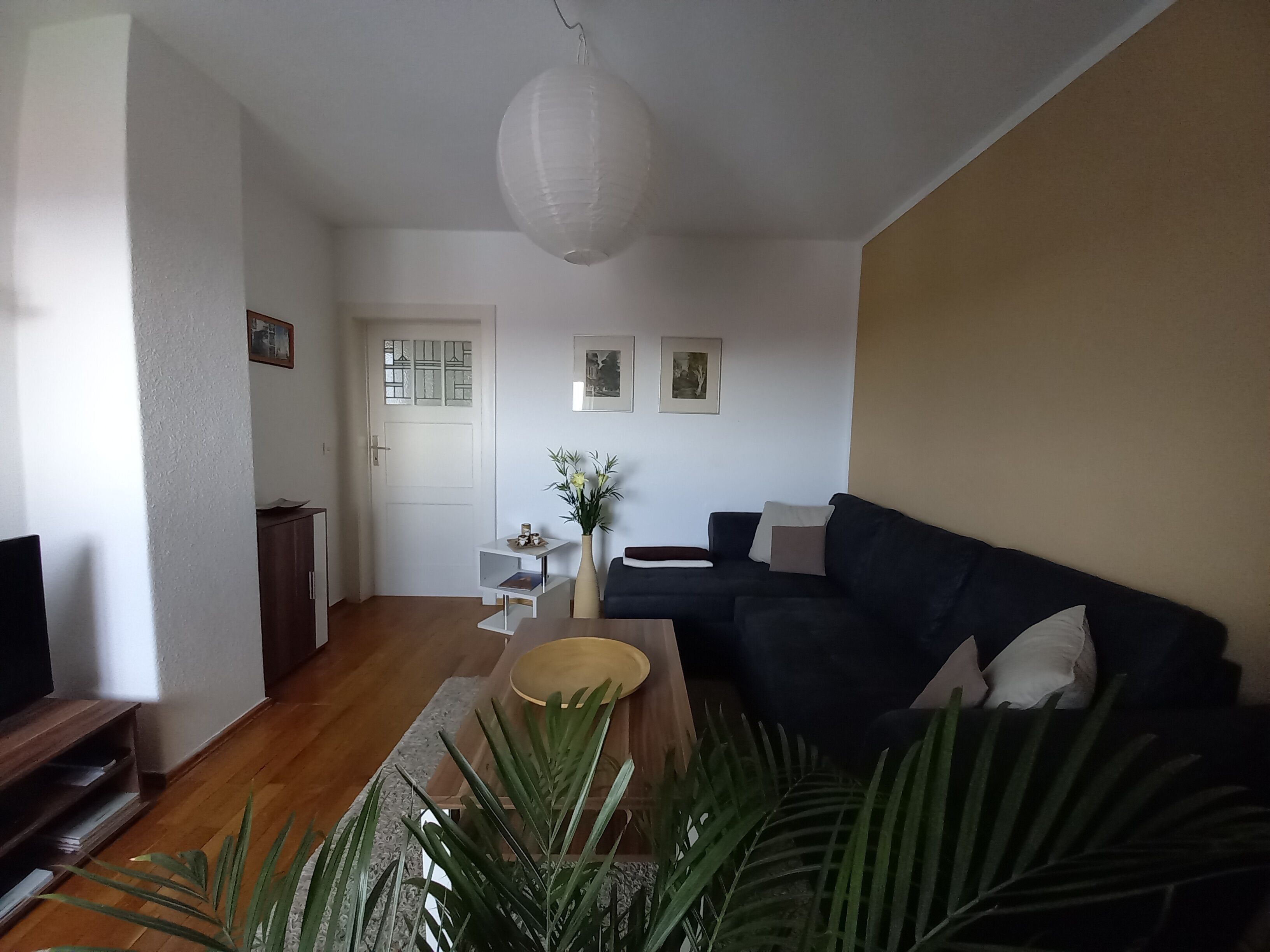 Ein Wohnzimmer mit einem dunkelgrauen Sofa, einem kleinen Beistelltisch, einem Holztisch, einem Blumentopf und einer weißen Tür mit Fenster.