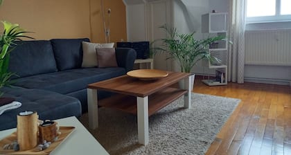Huoneisto, josta on upea näköala Dresdeniin