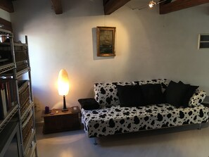 Télévision, lecteur de DVD, livres, vidéothèque