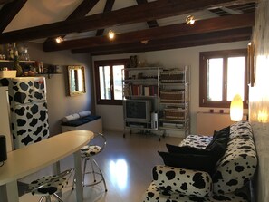 Télévision, lecteur de DVD, livres, vidéothèque