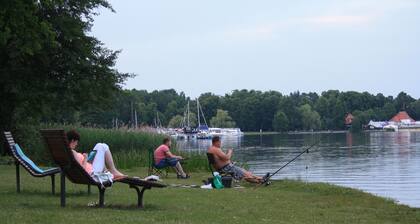 Salt apartment butterfly between forest & lake