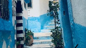 A narrow alleyway with blue-painted buildings, a staircase, and potted plants.