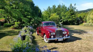A vintage red car parked in a lush garden with trees and flowers.