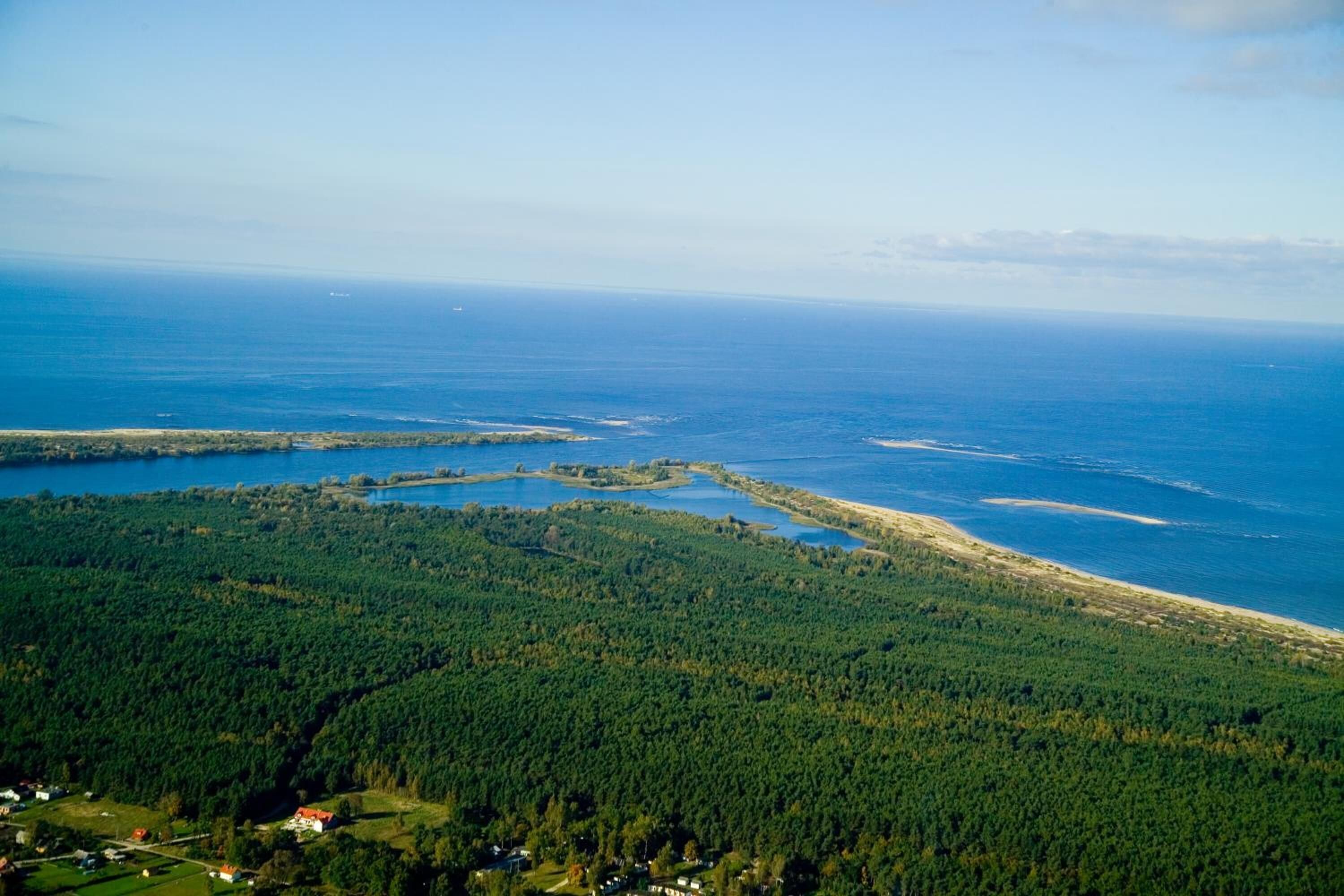An aerial view of a coastal area with dense forest, a sandy beach, and a clear blue sea.