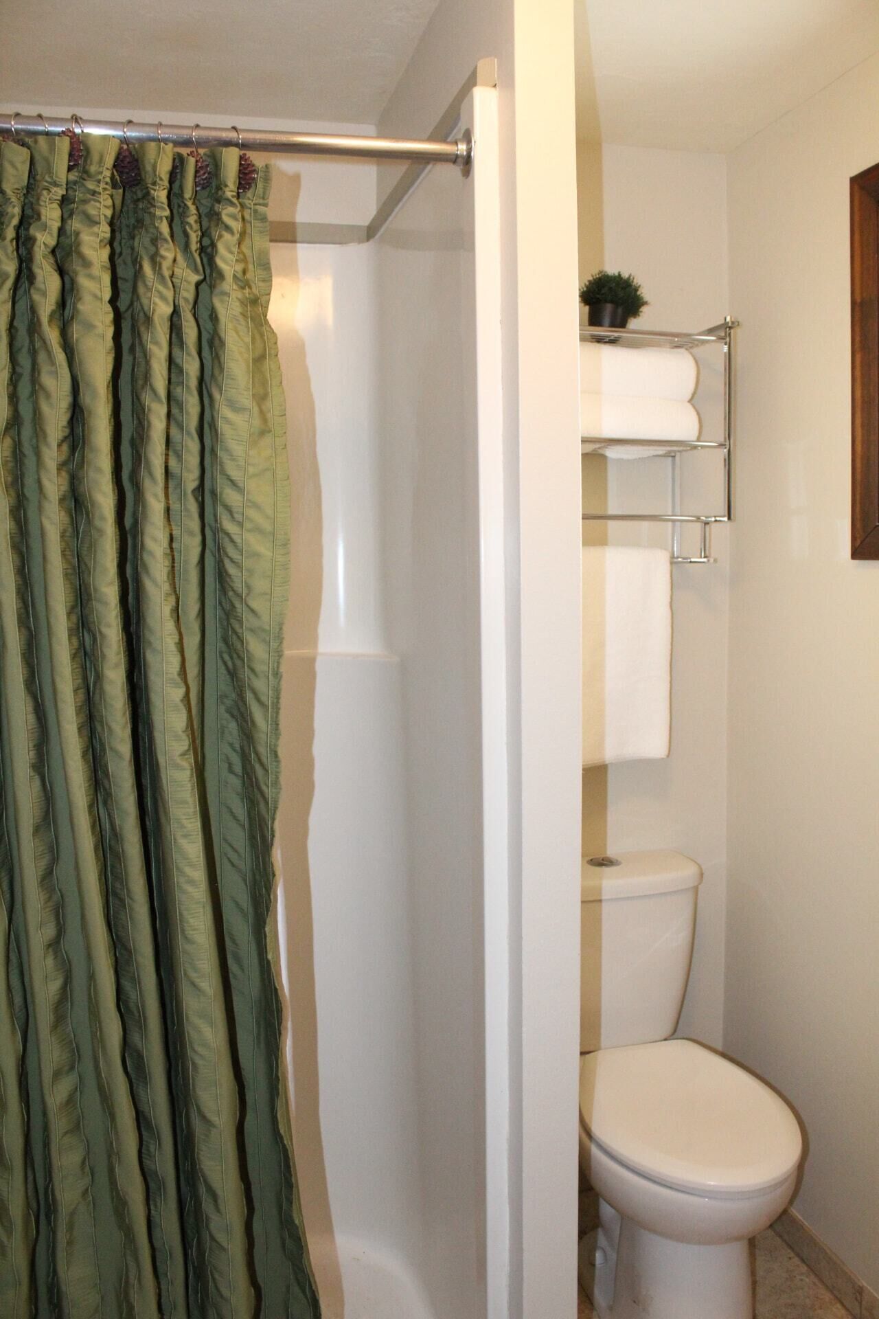 A bathroom with a shower curtain, a toilet, and a shelf with towels.