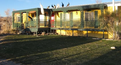 Shady Lady Bed & Breakfast