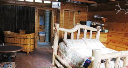 Shady Lady Bed & Breakfast