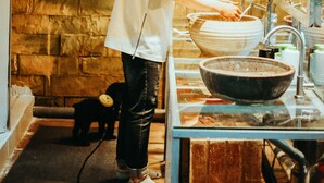 A person washing dishes in a kitchen with a stone wall and a dog nearby. - TravelBox Dorm Sweet Dorm - Hostel (Hanoi)