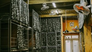 A room with multiple fans, shelves with patterned items, and a door with a fan on top. - TravelBox Dorm Sweet Dorm - Hostel (Hanoi)