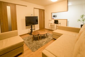 Flat-screen TV, Netflix