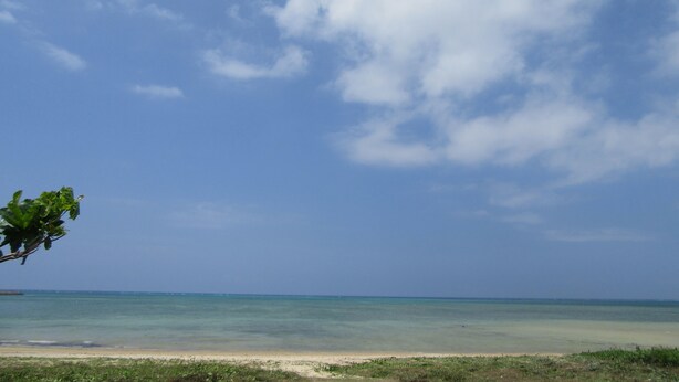 Bãi biển