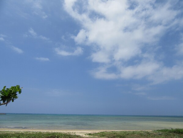 Beach - Pension Nagisa (Motobu)