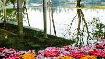 全景客房 | 水景