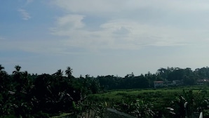 Paisaje rural con cielo despejado, abundante vegetación y algunos edificios a lo lejos.