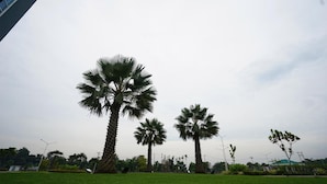 A grassy area with palm trees and a modern building in the background. - My Studio Hotels Kualanamu Airport Medan (Medan)