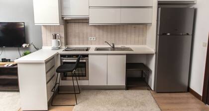 Dumankaya Ikon 33 Floor 1 Bedroom A