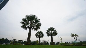 A landscaped area with palm trees and a modern building in the background. - The Lively Hotel Kualanamu Airport Medan (Medan)