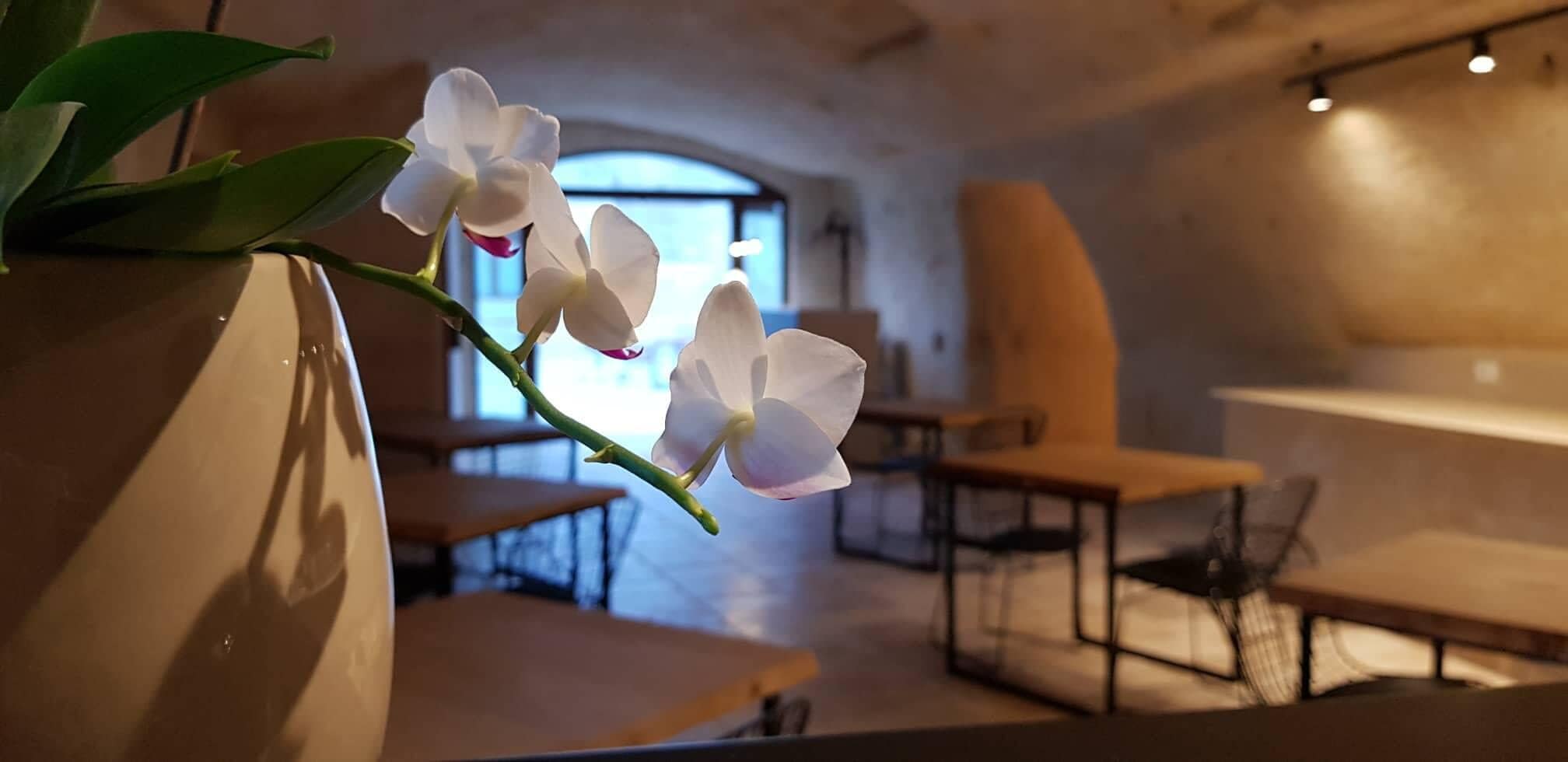 Photo - Residence Masseria Santa Lucia