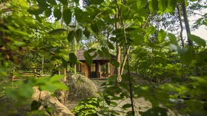 A rustic cabin surrounded by dense forest. - Edakkal Hermitage (Sulthan Bathery)