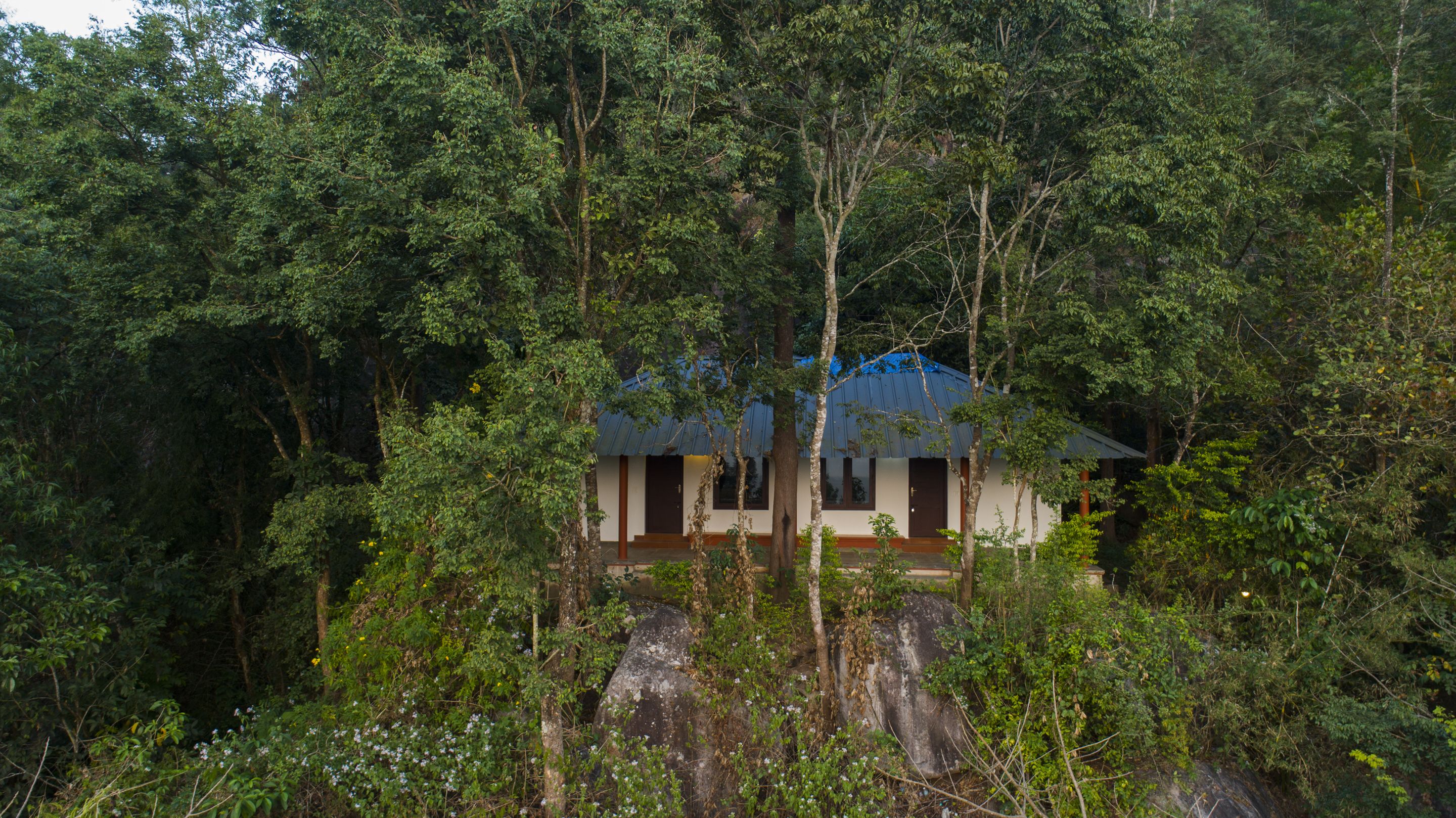 A house surrounded by dense forest.
