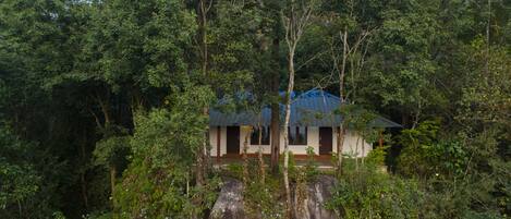 A house surrounded by dense forest.