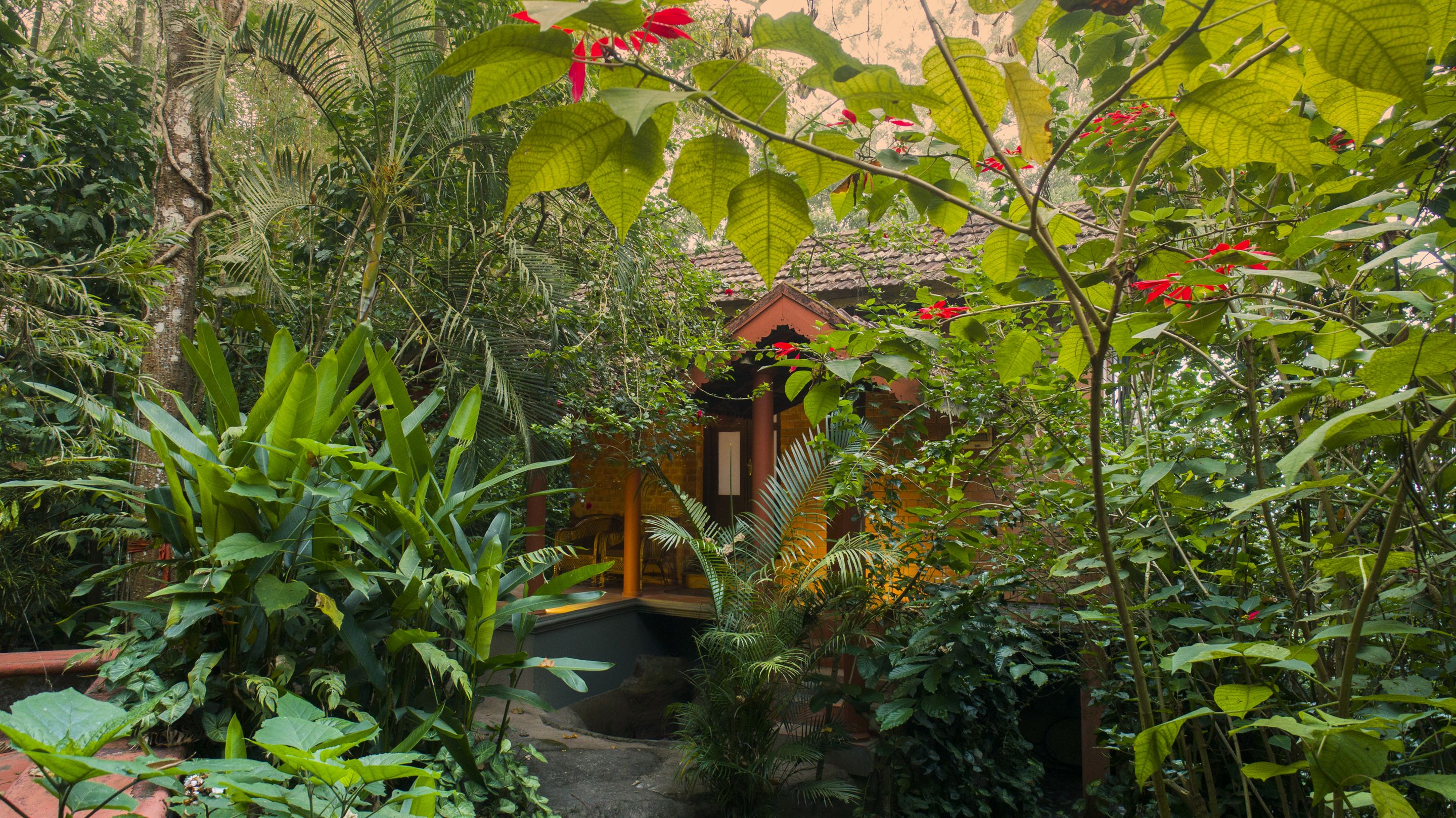 Jardín