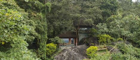 A traditional building nestled among lush greenery, with a stone pathway leading to it.
