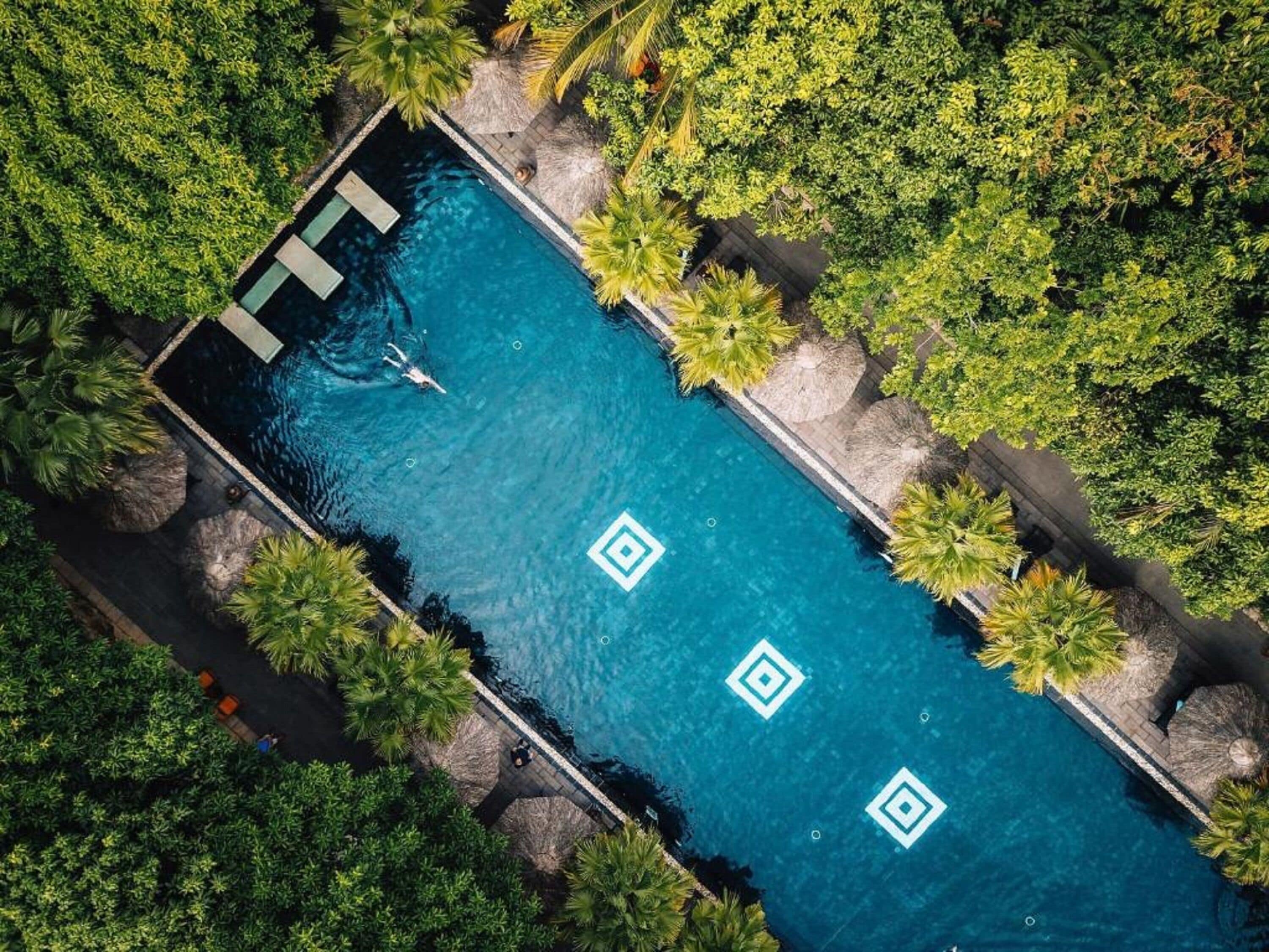 An aerial view of a rectangular swimming pool surrounded by lush greenery and palm trees.