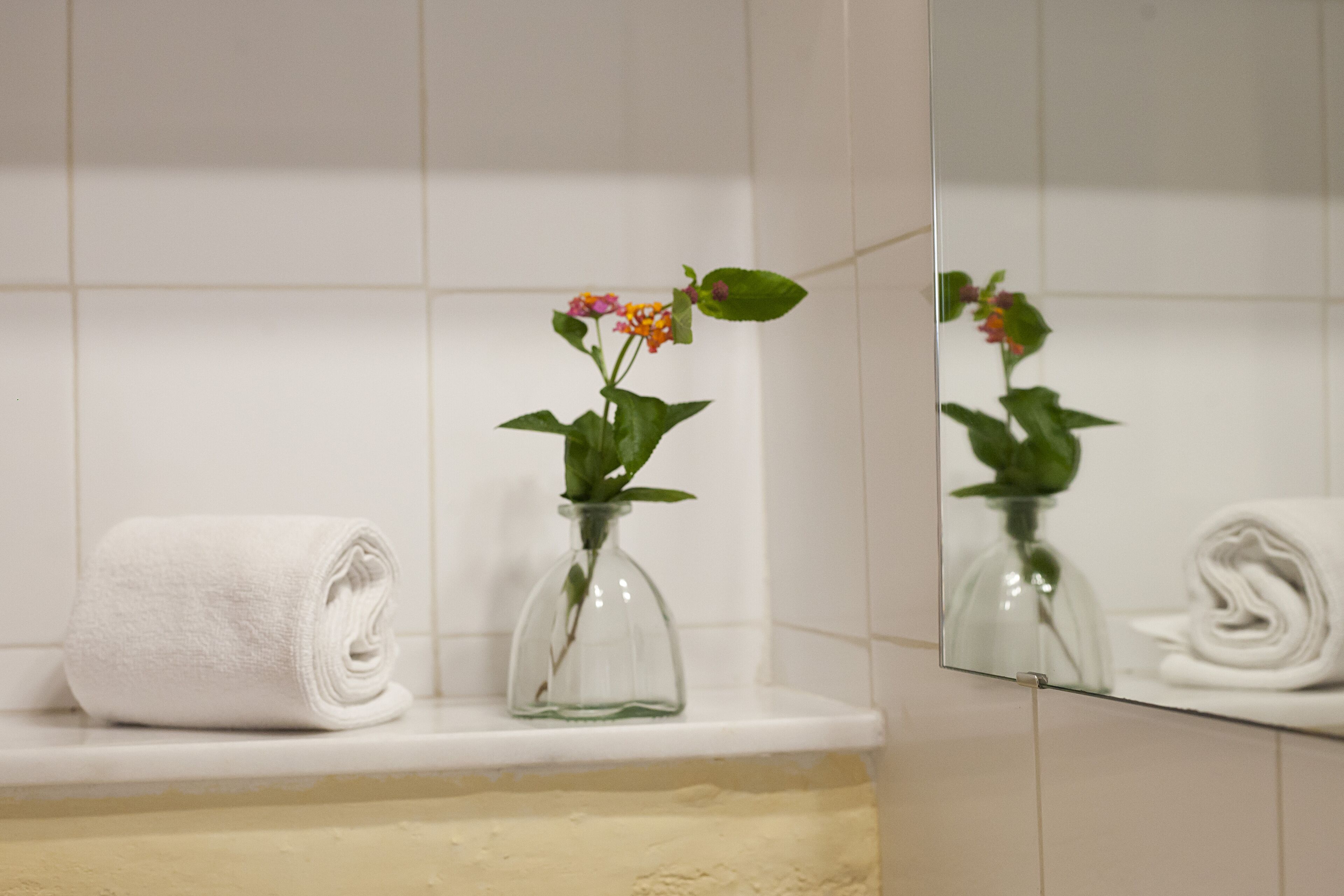 Foto - Finca Son Sureda Agroturismo