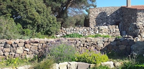 Garden - Sa Ruscitta (Sant'Antioco)