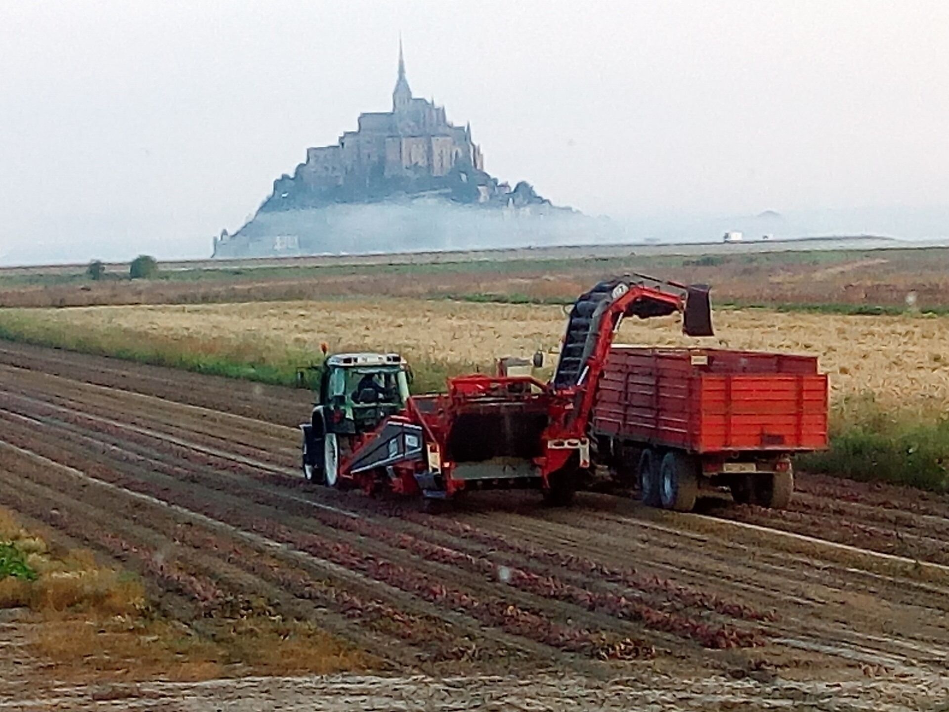 A tractor with a red trailer in a field with a distant building.