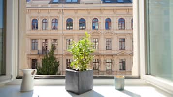 Apartamento básico, vistas a la ciudad (Riemannstrasse) | Vistas desde la habitación