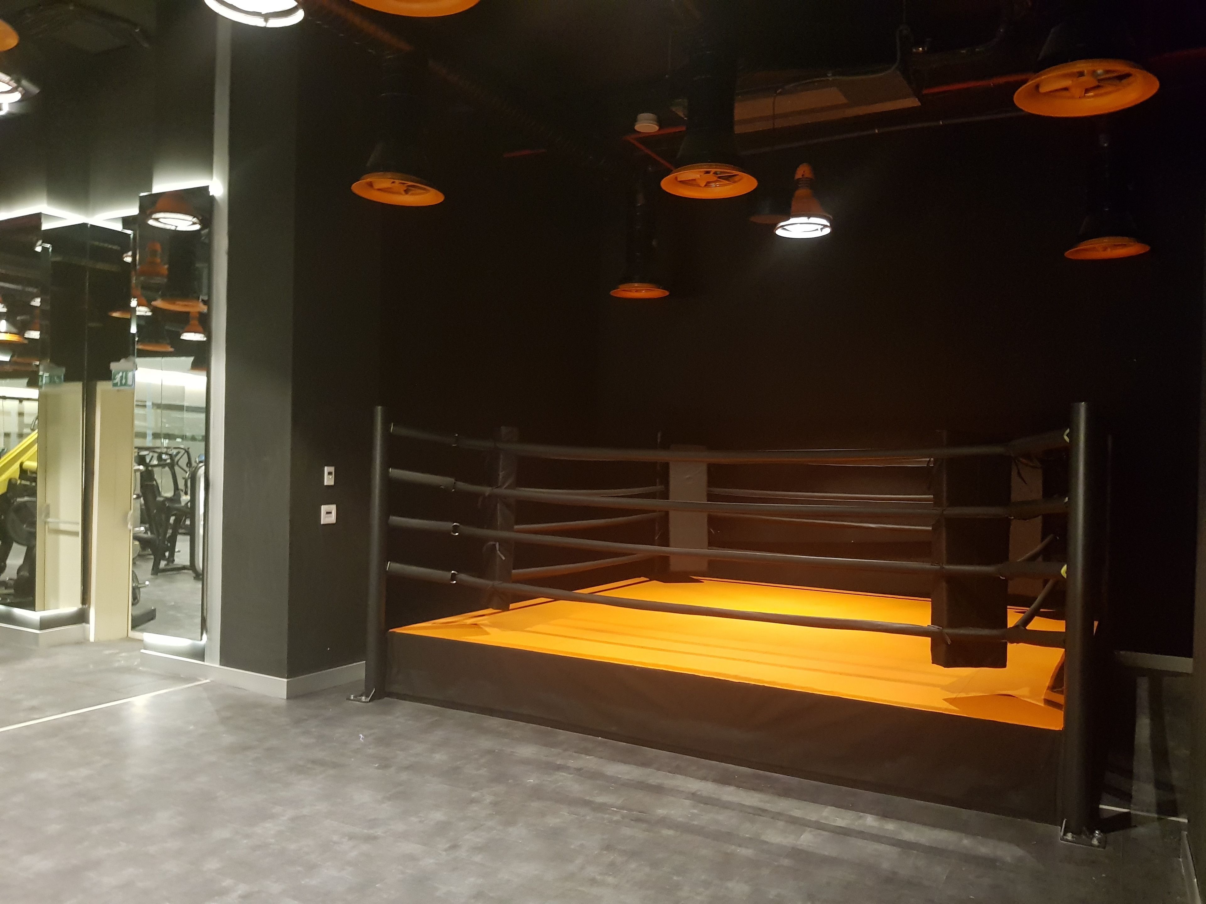 Un ring de boxeo con suelo de madera y cuerdas de metal, rodeado por una pared oscura con una puerta de vidrio en un lateral.