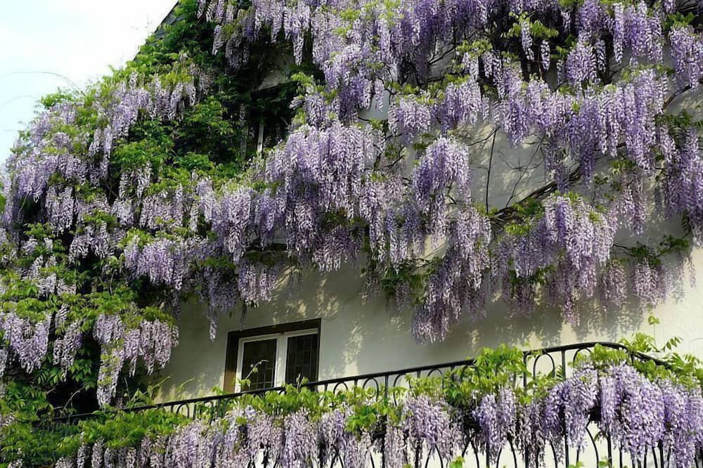 Hotel Rosenhaus Garni