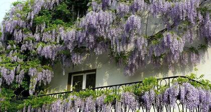 Hotel Rosenhaus Garni