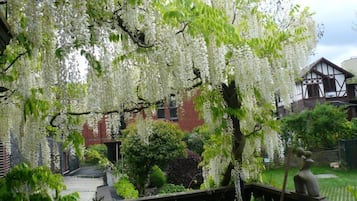 花園