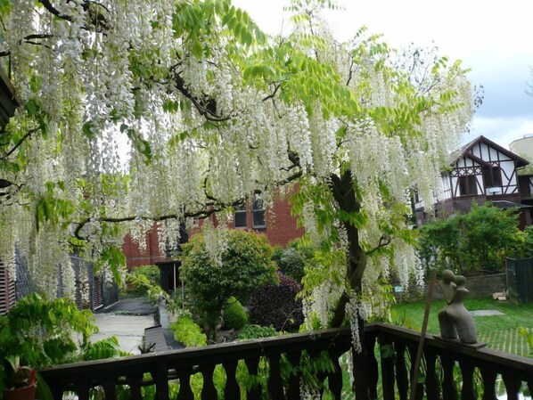 Un jardín con árboles de flores blancas, una terraza de madera y un sendero de piedra.