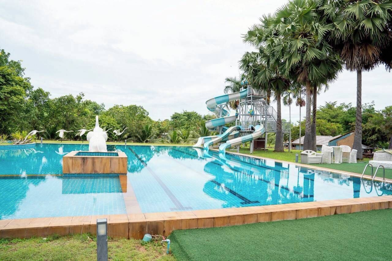 室外游泳池，08:30 至 18:30 开放，日光浴躺椅