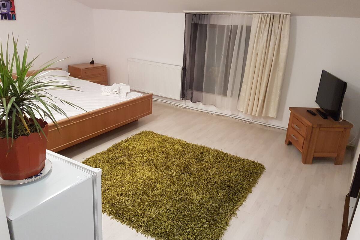 A bedroom with a bed, a small wooden nightstand, a television on a wooden stand, a potted plant, and a window with sheer curtains.