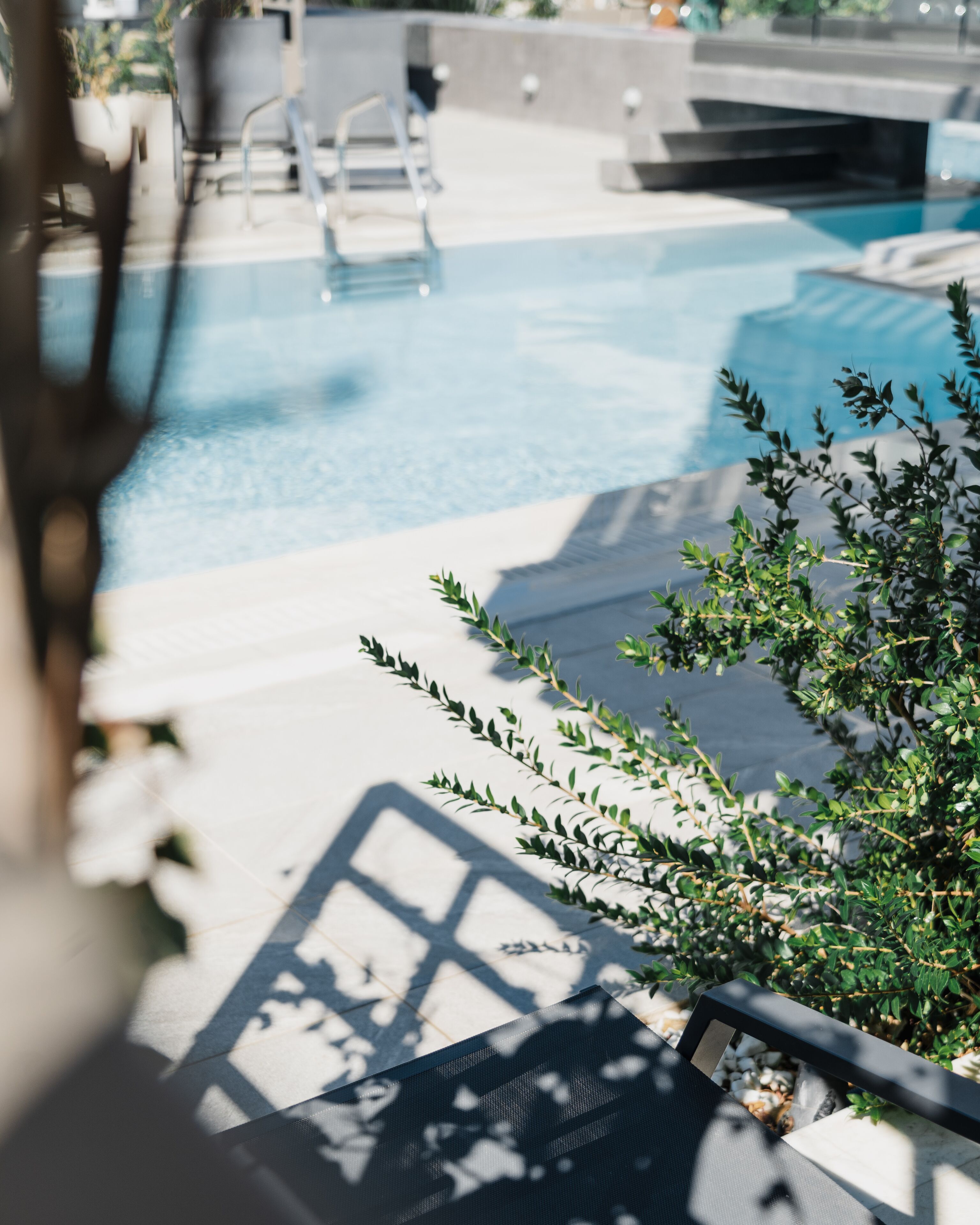 Une piscine à l’eau d’un bleu cristallin, entourée d’une terrasse en béton et agrémentée de quelques plantes.