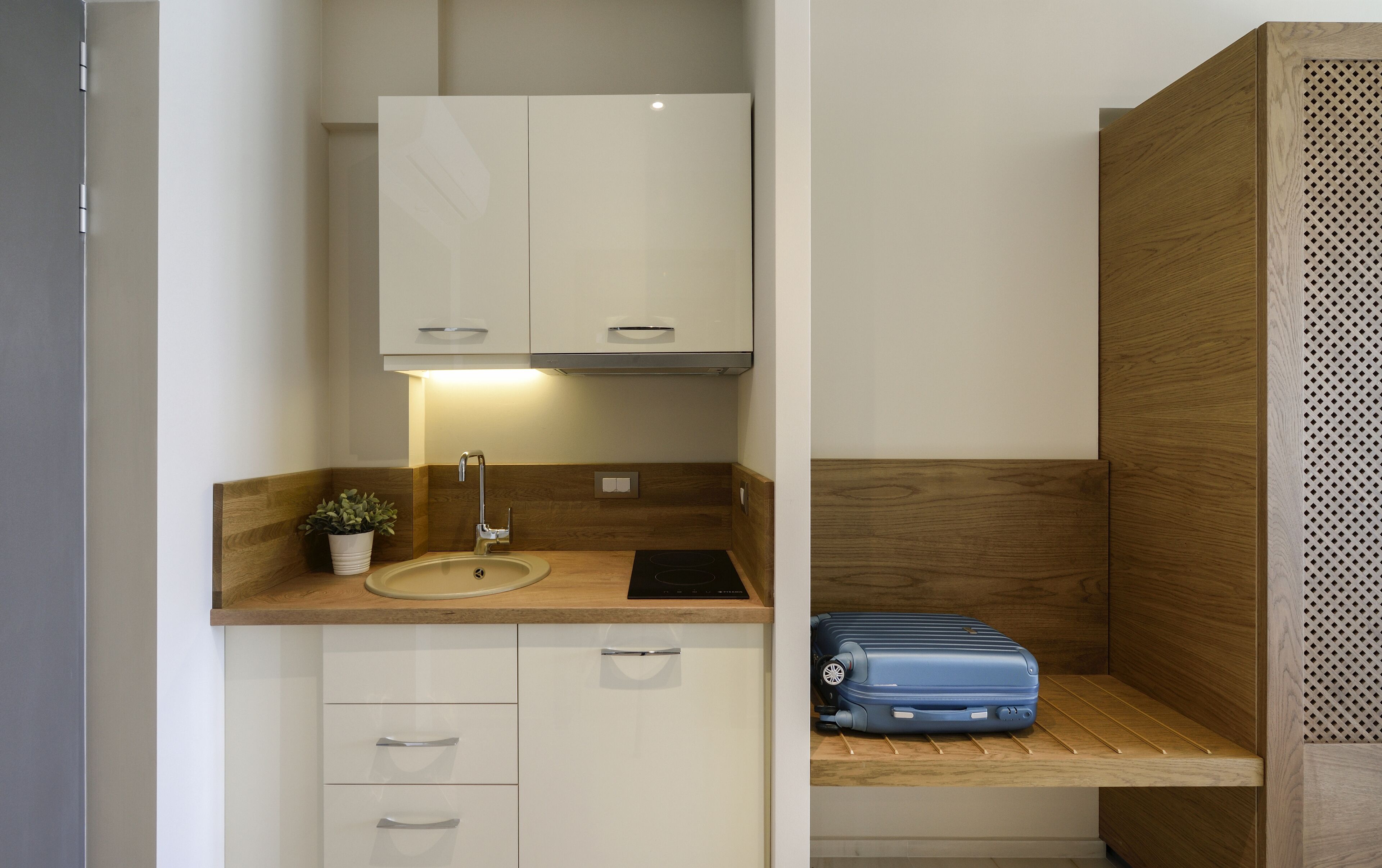A compact kitchenette with a sink, cabinets, and a small plant.