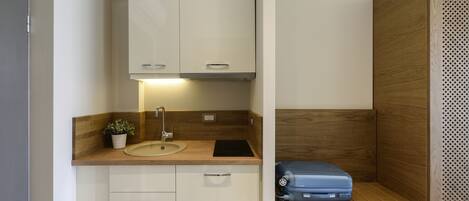 A compact kitchenette with a sink, cabinets, and a small plant.