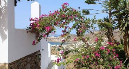 Country House Apartments