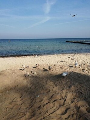 Pantai