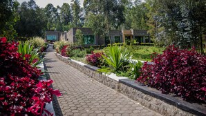 Uma trilha conduz a um edifício com fachada de tijolos e grandes janelas, cercado por vegetação exuberante e plantas floridas.