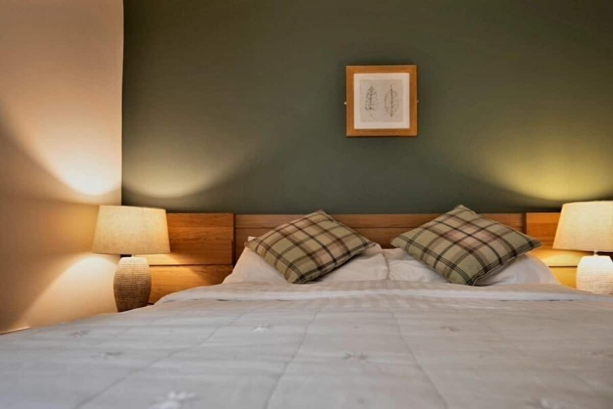 Habitación doble estándar, 1 cama matrimonial, para no fumadores | Escritorio, wifi gratis y ropa de cama
