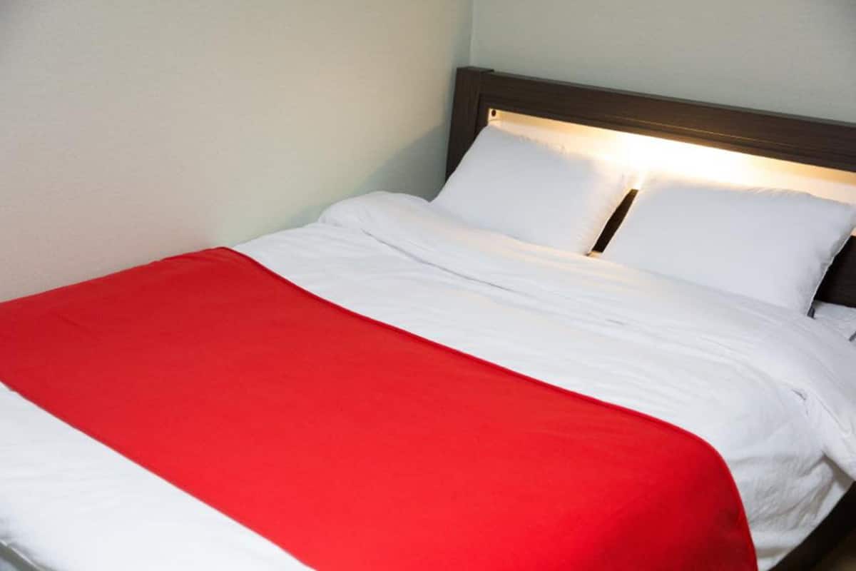 Basic Double Room